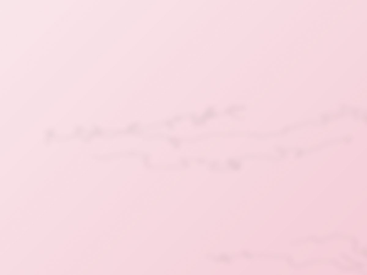 SoulxDoll Journal
